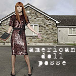 American Doll Posse Small Banner